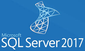 MICROSOFTSQLSERVERSTANDARDEDITION 2017 SNGL OLP 1LICENSE NOLEVEL