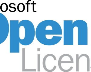 WINSVRSTDCORE 2019 SNGL OLP 2LIC NL CORELIC