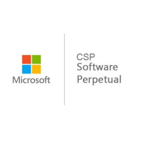 SQL Server 2019 - 1 User CAL Perpetual