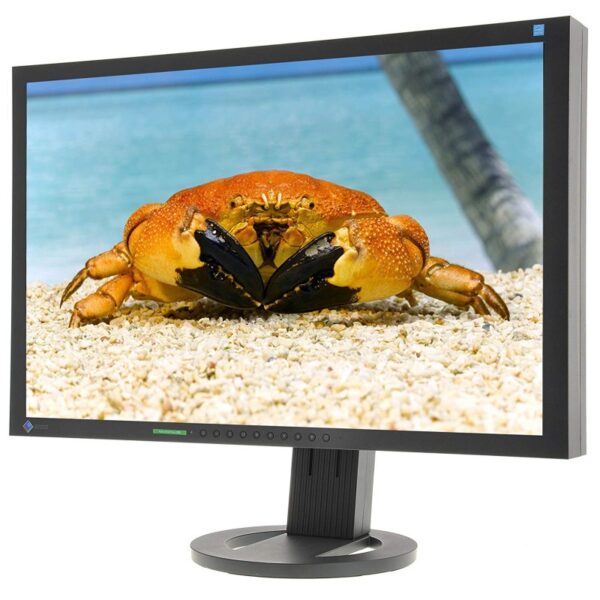 MONITOR RICONDIZIONATO EIZO FLEXSCAN S2433W LCD 24" 16:10VGA DVI-D DISPLAY PORT