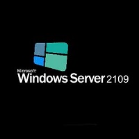 WIN SERVER 2019 ESS 1/2CPU ROK 1 VM