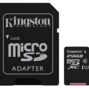 TRANS FLASH 256 GB (SDCS/256GB) CLASS 10