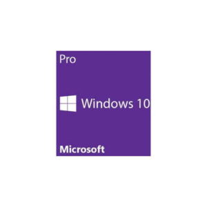 Windows 10 Professional